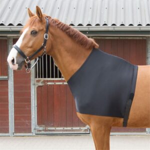 Brustdecke Harrys Horse